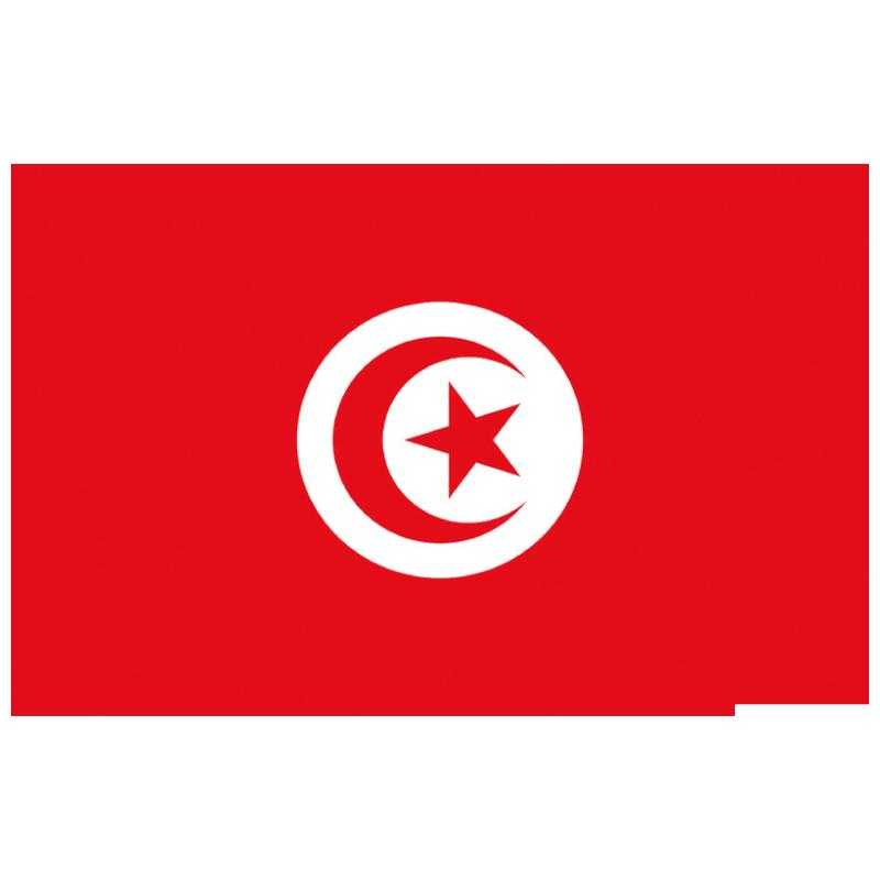 Bandiera_tunisia.jpg